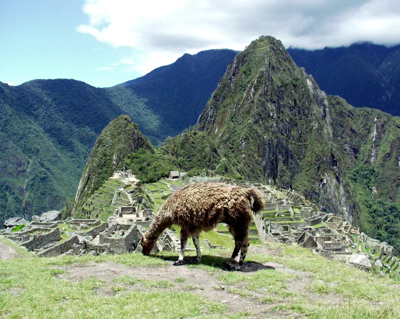 Machu Pichu (with llama)