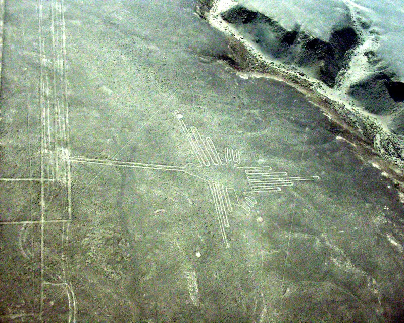 Nazca-Lines (Humming bird)