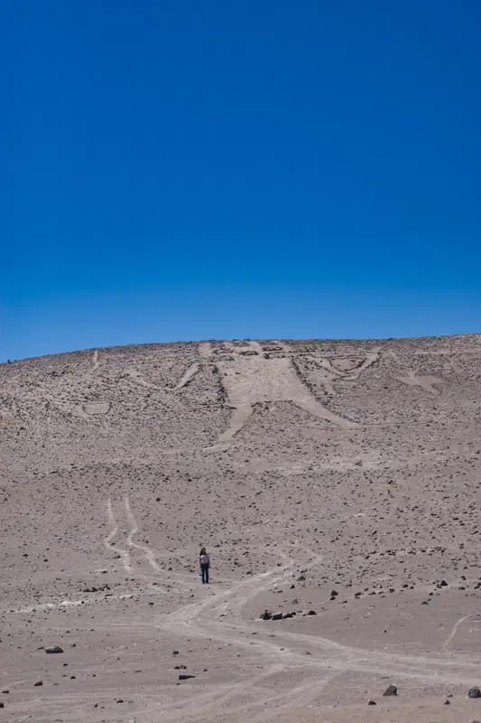 Cool desert glyphs