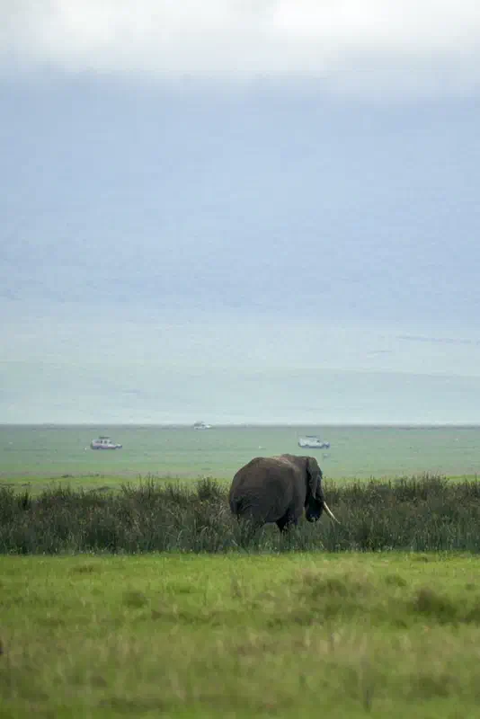 I wasn't alone. There were other people on safari also...