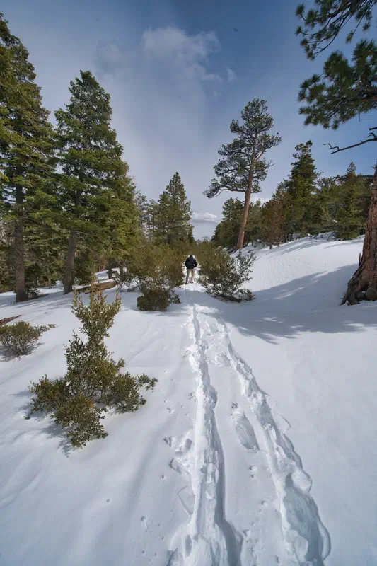 We also got in some minor hikes out by Mount Charleston. It…
